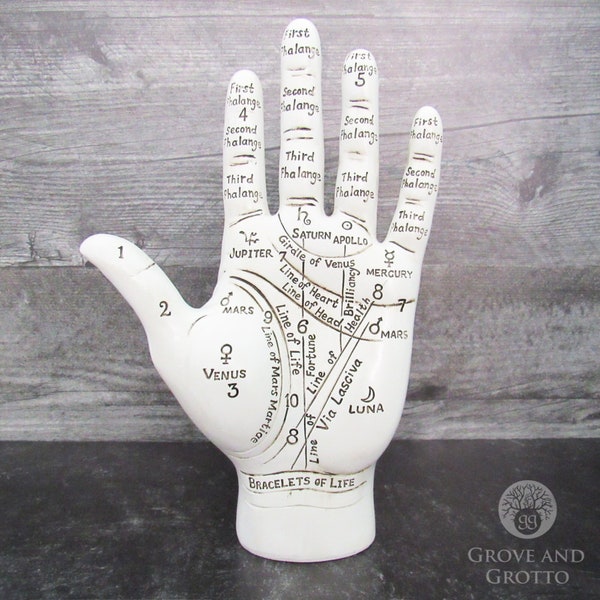 Large Palmistry Hand Figurine