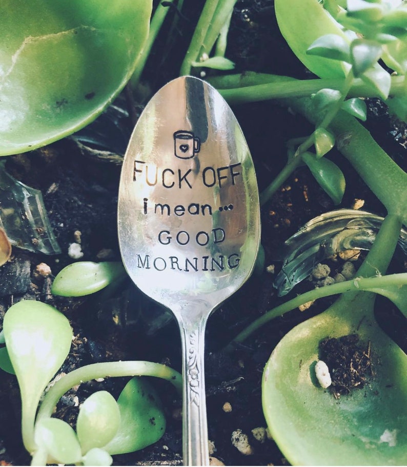 Guy T Stamped Coffee Spoon Fuck Off I Mean Good Morning Etsy