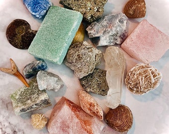 Mystery Mixed Fossil & Mineral Surprise Bag