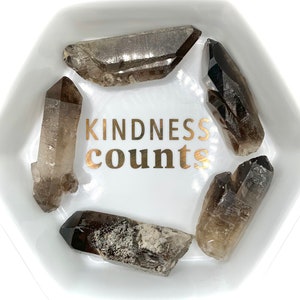 Rare Lemurian Smoky Quartz Crystal Point | Raw Smoky Quartz Specimen | Terminated Quartz | Record Keeper | Tantric Twin | Lightworker Wand