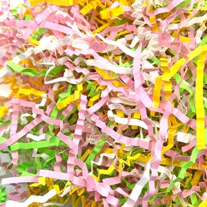 1/4 Pfund Frühlingsmix Crinkle Cut geschreddertes Papier für Verpackungen | Geschenkschachtel Shred | Korbfüller | Schredden | Versandmaterial | Pastell Party