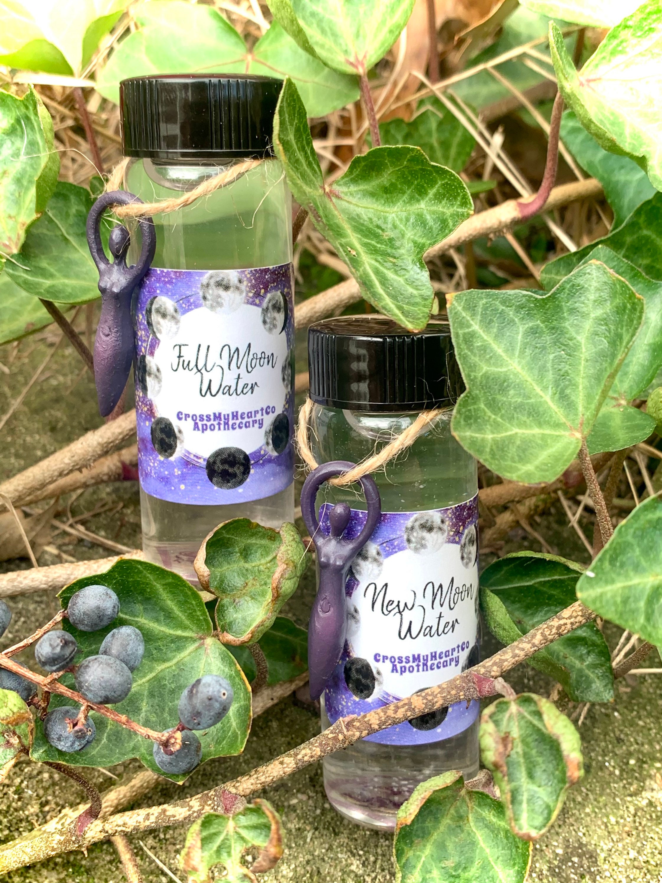 FULL Moon or NEW Moon Charged Water Bottle/ High Priestess Etsy