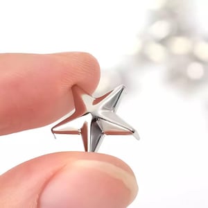 May include: A silver star-shaped metal embellishment with a pointed tip. The star is about 1 inch in diameter.