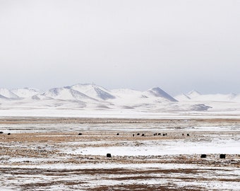 Kham, Tibet, 2019