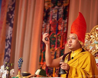 His Holiness Karmapa, Paris, 2016