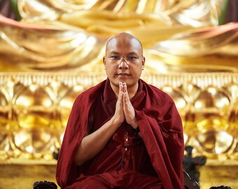 His Holiness Karmapa, Paris, 2016