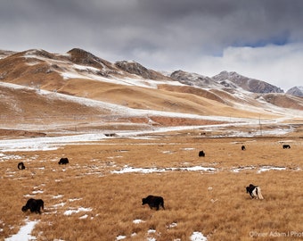 Kham, Tibet, 2019