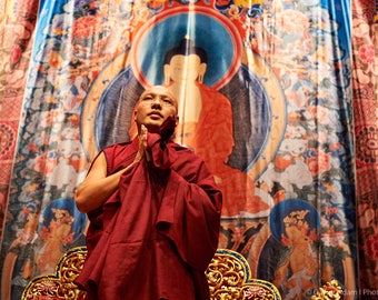 His Holiness Karmapa, Geneva, 2016