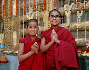 Jeunes nonnes devant l'arbre de la Bodhi, Bodhgaya, 2016