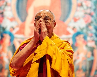 Dalai Lama, Switzerland, 2013
