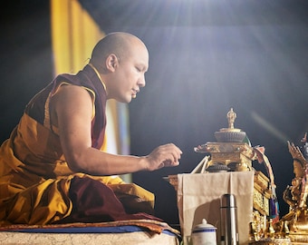 His Holiness Karmapa, London, 2017
