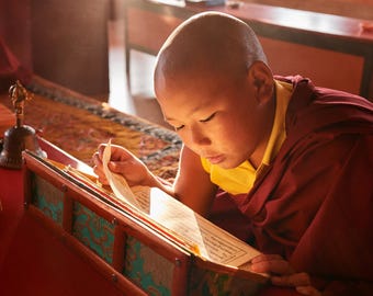 Memorizing the text of a ritual after morning puja. Khachoed Pema Woeling Nunnery, Sikkim
