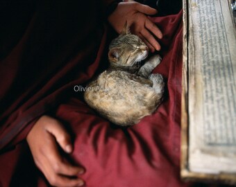 Lamayuru Gompa, Ladakh