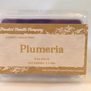 Plumeria 2.5oz Soy Wax Melts Scent Fresh Floral Spring One Package image 1