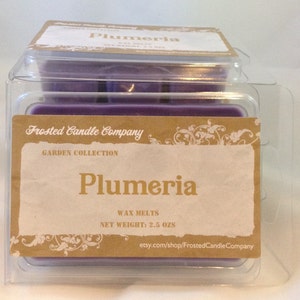 Plumeria 2.5oz Soy Wax Melts Scent Fresh Floral Spring One Package image 3