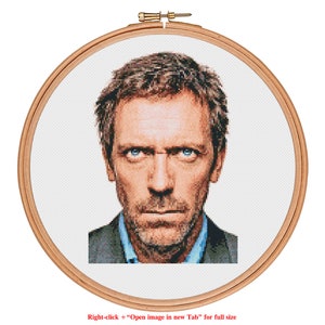 Dr House Cross Stitch Pattern - who is your idol? - Modern Cross Stitch Pattern PDF
