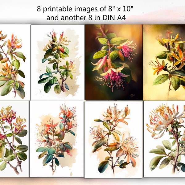 Downloadable Watercolor Botanical Art - Honeysuckle in 8"x10" and DIN A4 Sizes - Flower Prints for Wall Decor