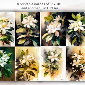 Downloadable Watercolor Botanical Art - Jasmine plant in 8&quot;x 10&quot; and DIN A4 Sizes - Flower Prints for Wall Decor