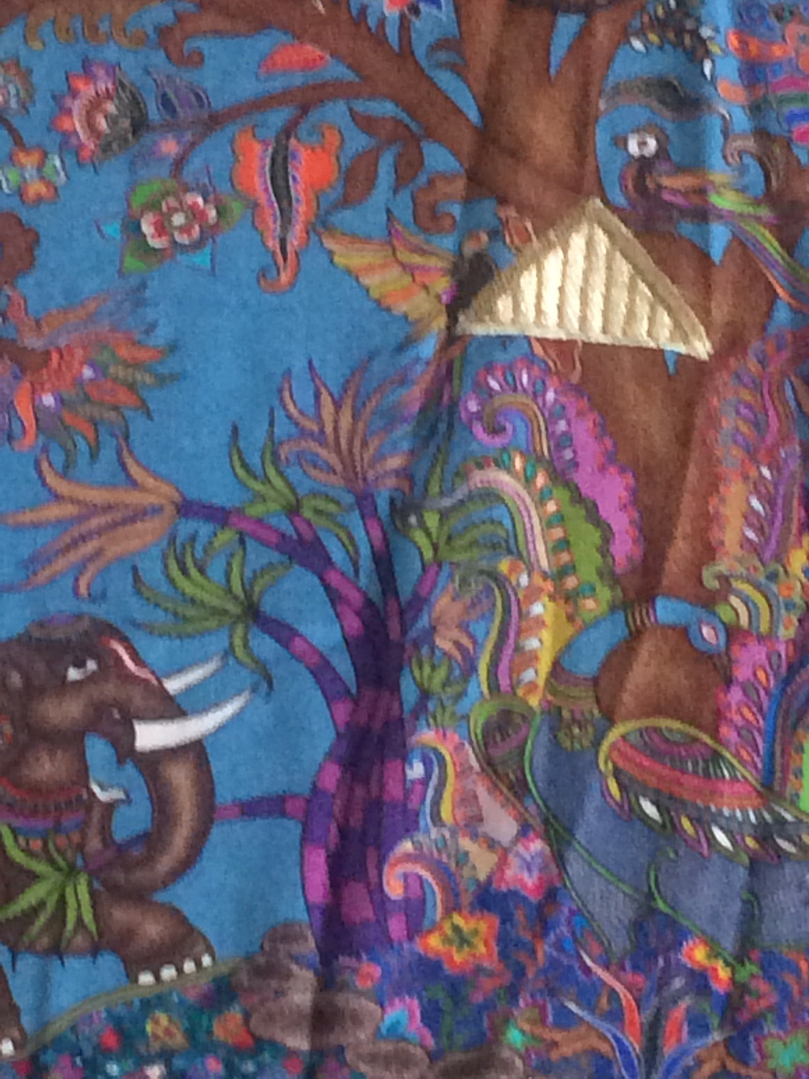 kalamkari pashmina shawl