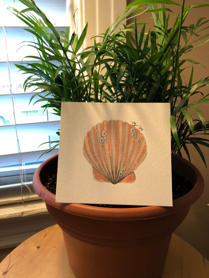 Miniature Scallop Shell Watercolor Painting