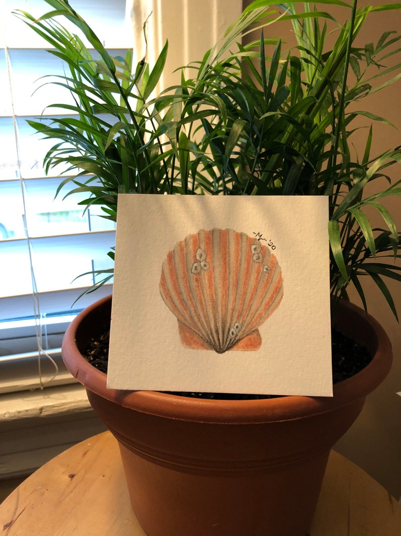 Miniature Scallop Shell Watercolor Painting