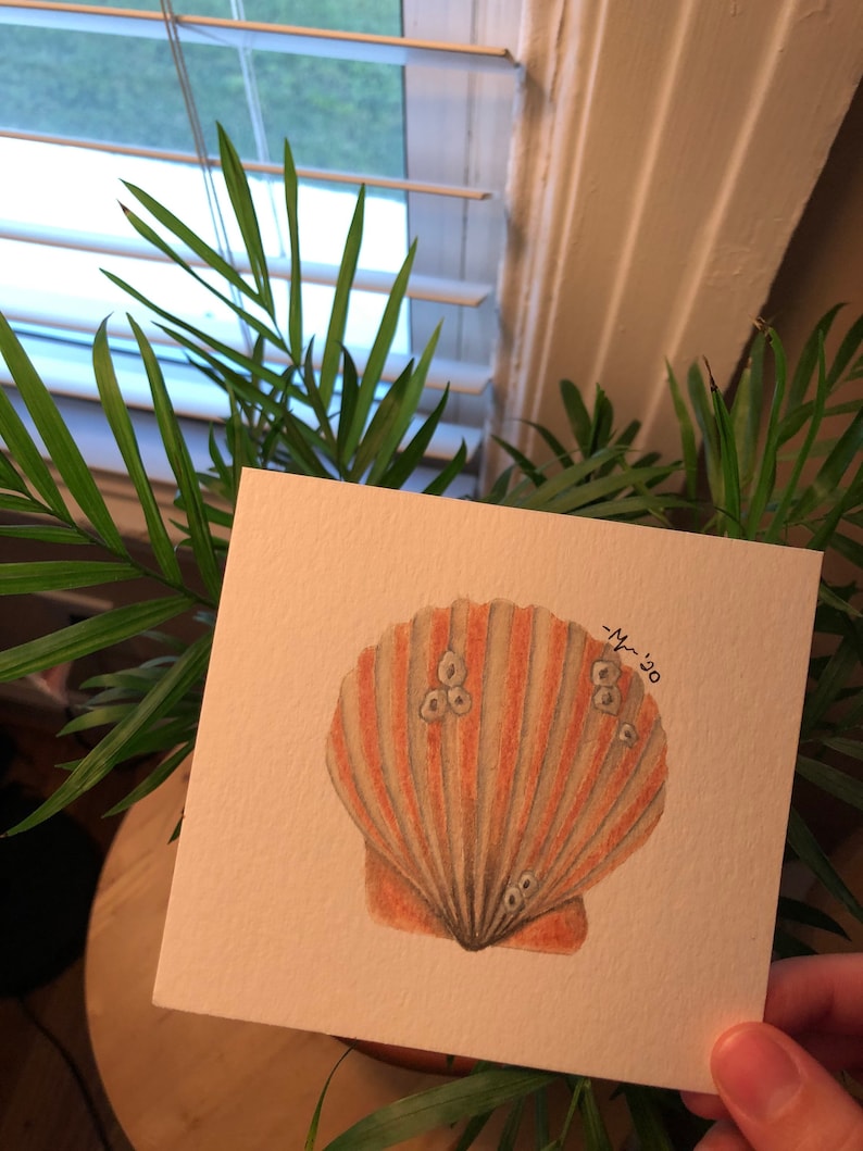 Miniature Scallop Shell Watercolor Painting