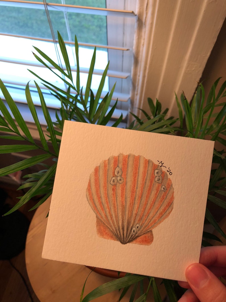 Miniature Scallop Shell Watercolor Painting
