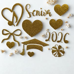 Senior jeans overalls vinyl DIY iron on custom kit