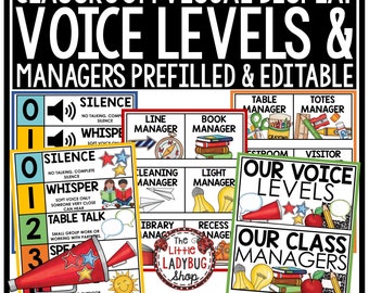 Grafici del livello vocale della classe Poster Gestori dei lavori degli studenti / Grafico del livello della voce / Modificabile dei lavori della classe / Visualizzazione dei lavori della classe / Schede dei lavori degli studenti