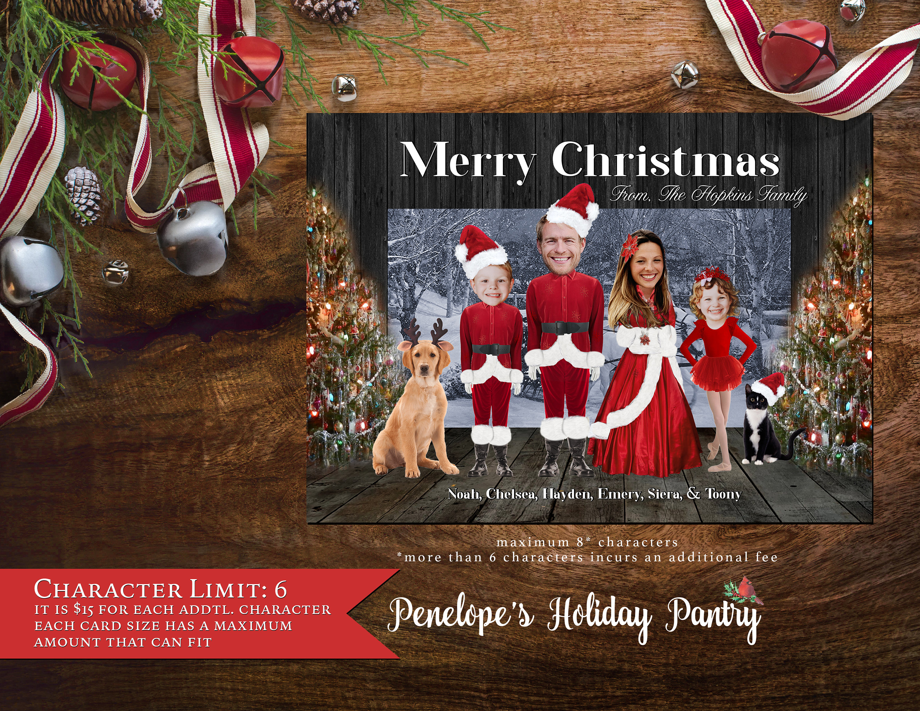Christmas Family Photo Card
