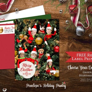 Carte photo de famille Noël elfe drôle Cartes personnalisées elfes de Noël dans un arbre Enveloppes incluses Imprimé au dos assorti Unique