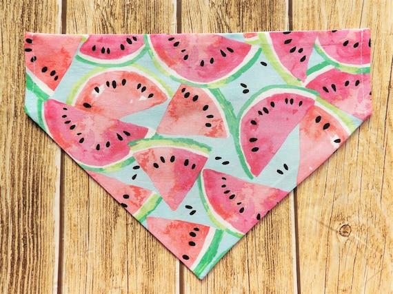 Watermelon BBQ Woof /& Mellon Summer Dog Bandana Over the Collar Picnic