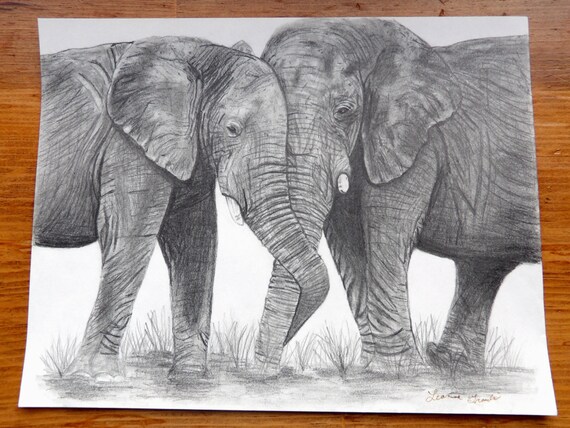 Elephants Rysunek Ołówkiem Drukowanie 8x10 Kart Drukowanie Rysunku Słonie Rysunek Słonia Rysunek Ołówkiem Prezenty Drukowanie Rysunku Ołówkiem