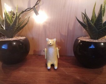 Daisy the Spirit Bear
