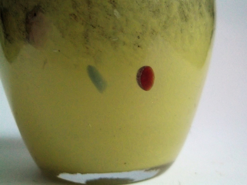 May include: A yellow glass vase with a red and blue swirl design.