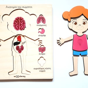 Wooden Human Anatomy Puzzle Girl | Human body anatomy |Montessori Homeschooling | Educational Montessori material | Learning Toys