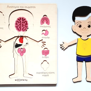 Wooden Human Anatomy Puzzle Boy| Human body anatomy |Montessori Homeschooling | Educational Montessori material | Learning Toys