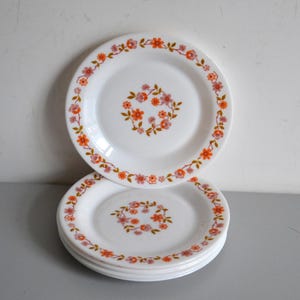 Vintage ARCOPAL dessert plates SCANIA flowers pattern