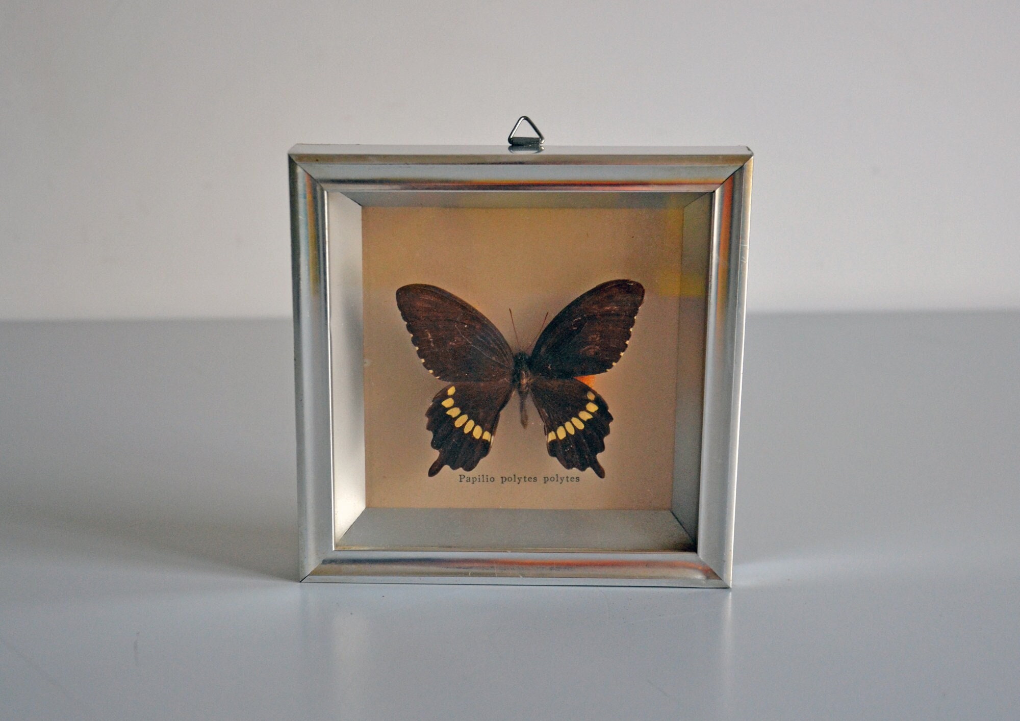 Cadre personnalisé papillon pour perpétuer le souvenir de la naissance