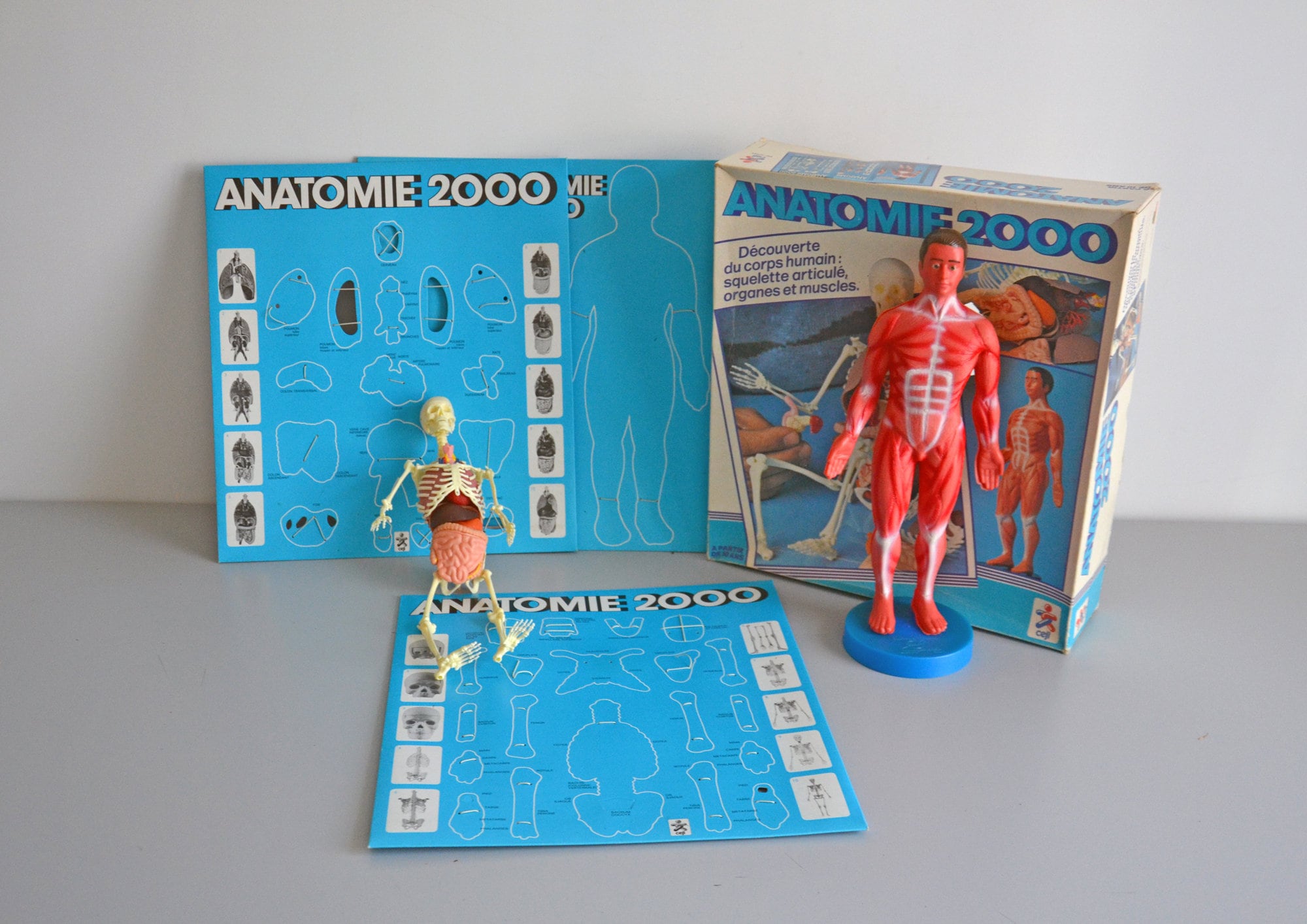 Jeu éducatif Anatomie 2000 CEJI - Corps Humain - Vintage Années 70 - Complet 00495