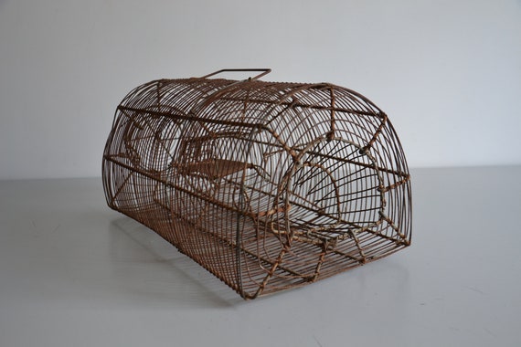 Piège à Méné En Treillis Métallique Galvanisé – Rustique Ancien