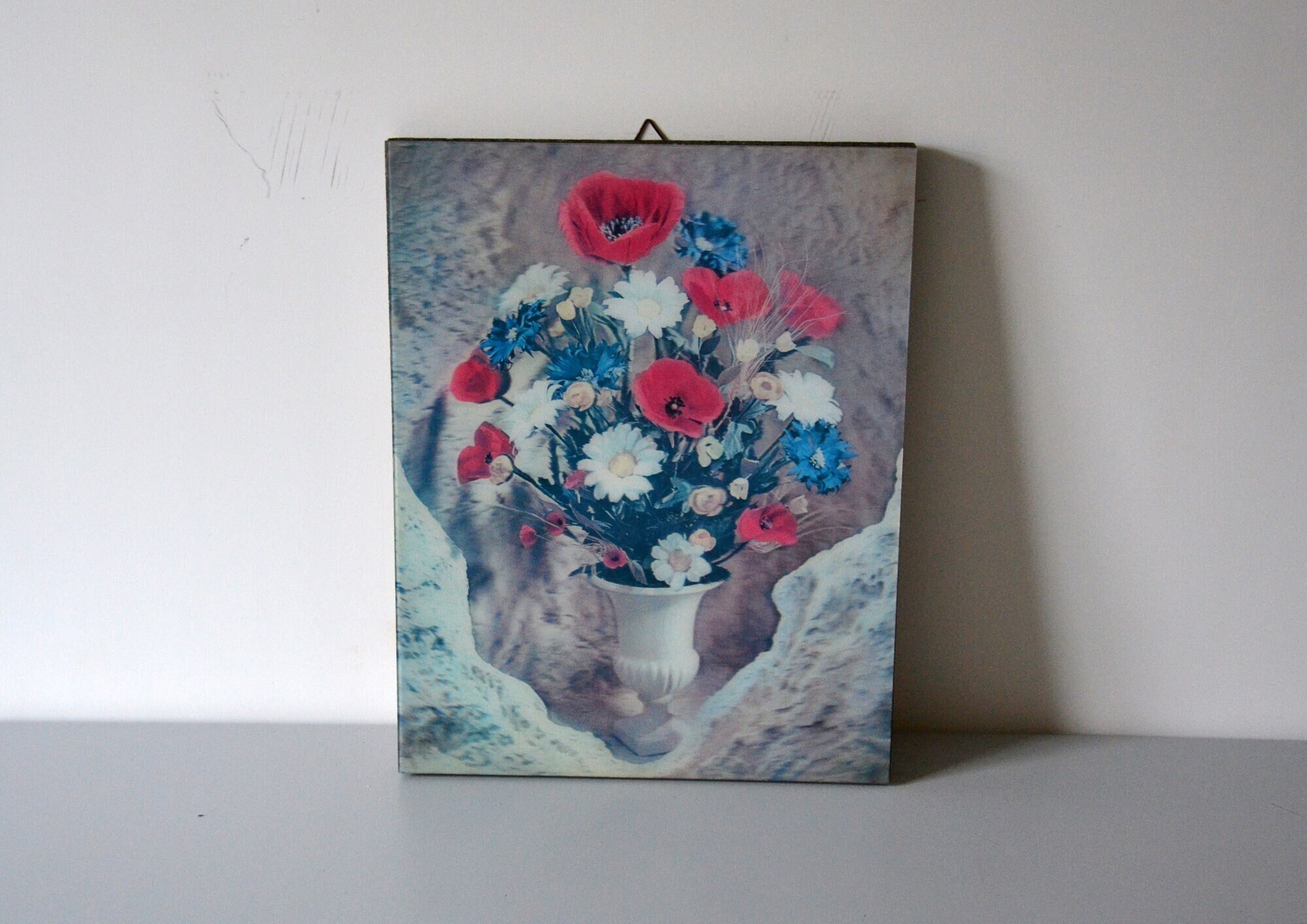 Cadre Tableau Fleur 3D Hologramme Vintage, Bouquet de Coquelicots