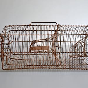 Piege à Souris-Piège a Rat X2 - Cage Anti Rongeurs Réutilisable