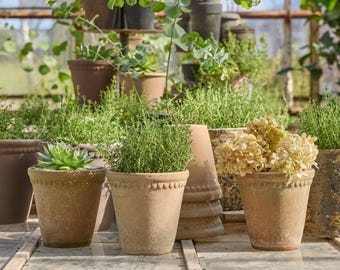 Aged Terracotta plant pot with Lace detail