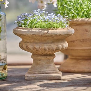 May include: A beige, urn-shaped planter, filled with small blue flowers and green foliage. The planter has a fluted design around the middle and sits on a square base. Another similar planter is visible in the background.