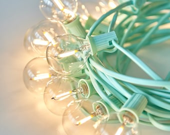 Indoor or Outdoor Teal Festoon Lights