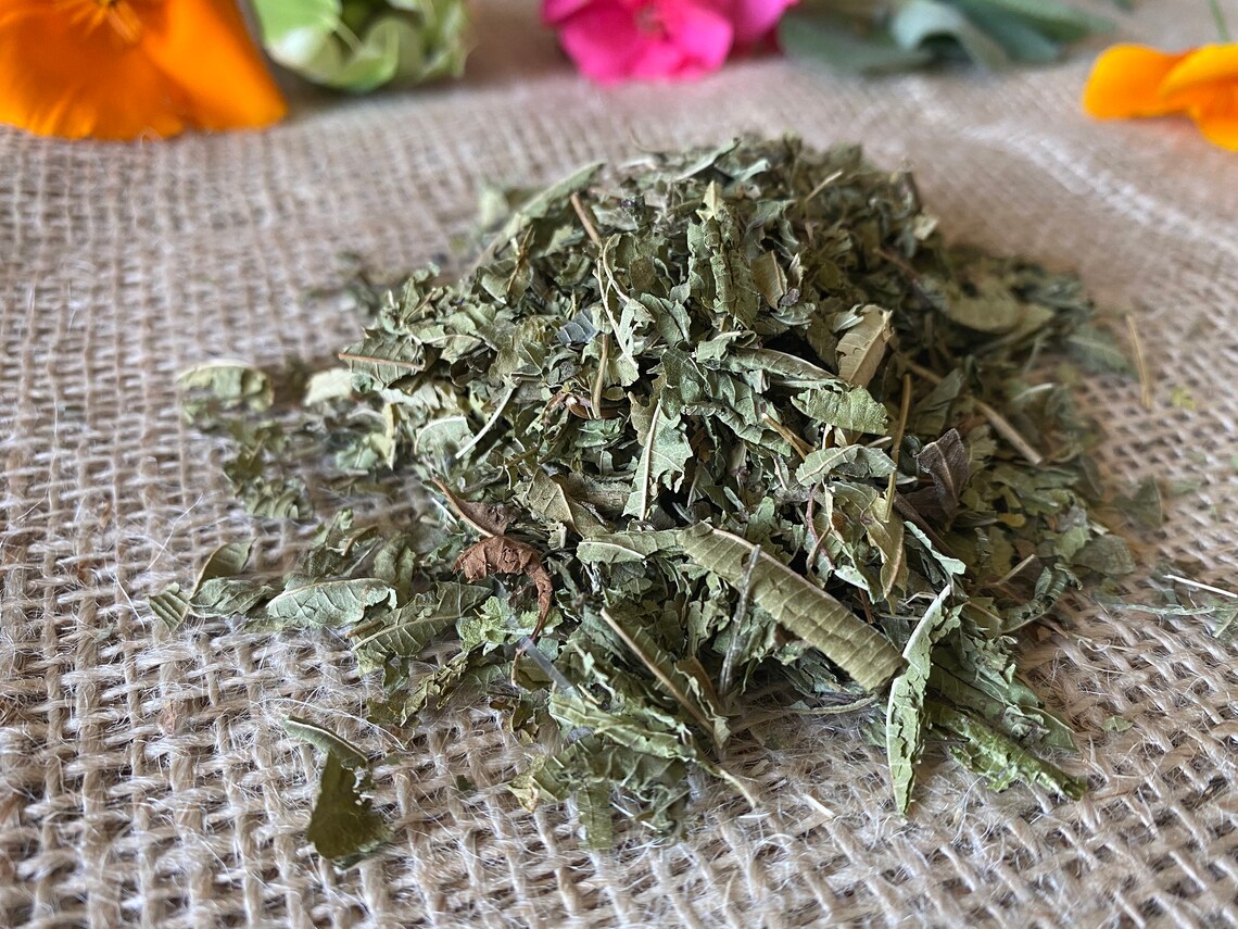 Milk Thistle Dried Herb 25g Detox/tea Liver and Gall Bladder Etsy