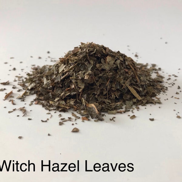Witch Hazel Dried Loose Leaves Herb Herbal Tea 10g, Compress, Skin, Burns, Scalds, Natural Healing,Protection, Balance, Grief