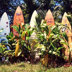 Tablas de surf en Lahaina, Hawái por Dan Merkel Paisaje del bosque tropical, Surfing Ocean Print, Beach Art Surfers Print Surf Wall Art, Tabla de surf