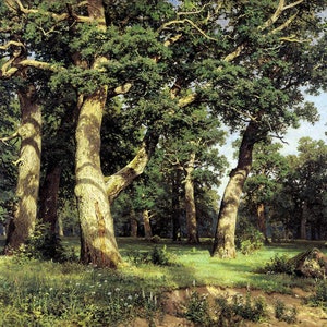 Mañana en un bosque de pinos 1889 de Ivan Shishkin Póster Pintura famosa Impresión de retrato Pintura vintage Arte de pared Decoración del hogar Arte de pared vintage